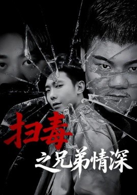 扫毒之兄弟情深