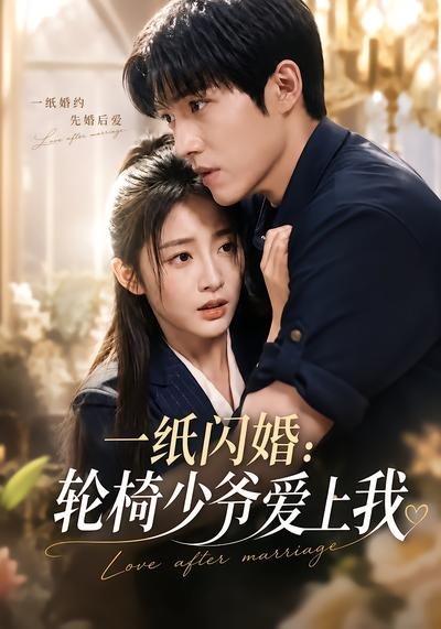 一纸闪婚：轮椅少爷爱上我
