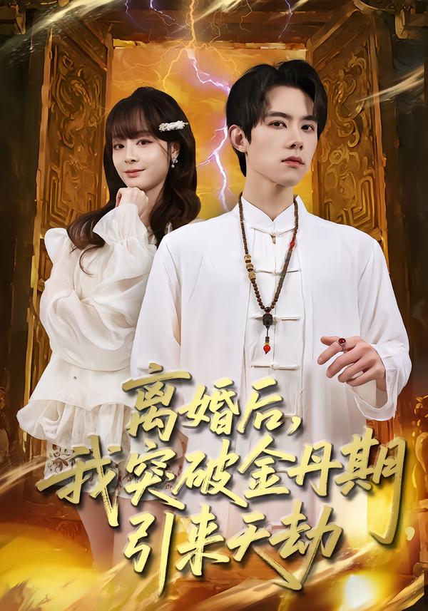 离婚后，我突破金丹期，引来天劫