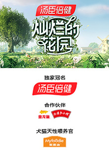 灿烂的花园云监工