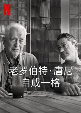 罗伯特唐尼：自成一格