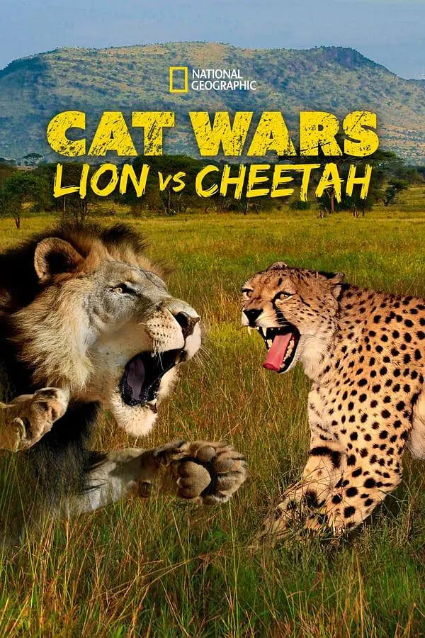 搜索猫科大战：狮子VS猎豹