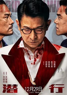 潜行国语版
