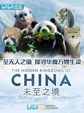 未至之境国语版