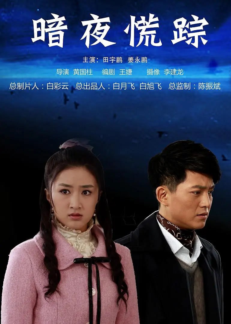 暗夜慌踪2013