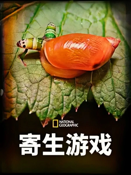 寄生游戏第一季英文版