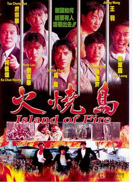 火烧岛（1991）