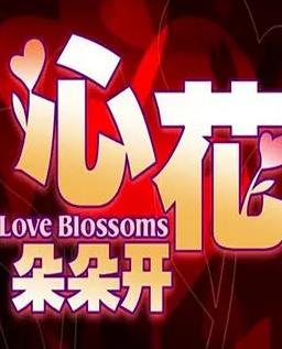 心花朵朵开